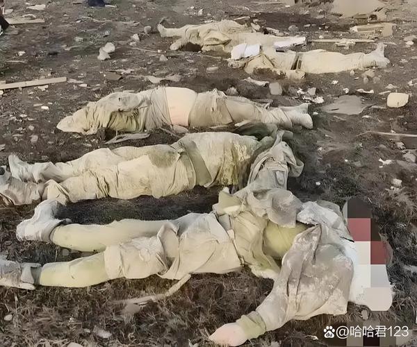 2025新澳门彩历史记录和乌称击落俄战斗机与击落乌克兰客机